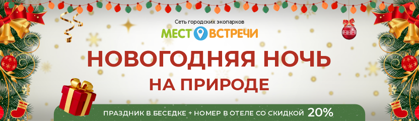 Новогоднее предложение